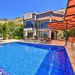 Celik Villa