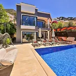 Celik Villa *