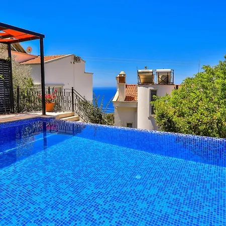 Celik * Kalkan