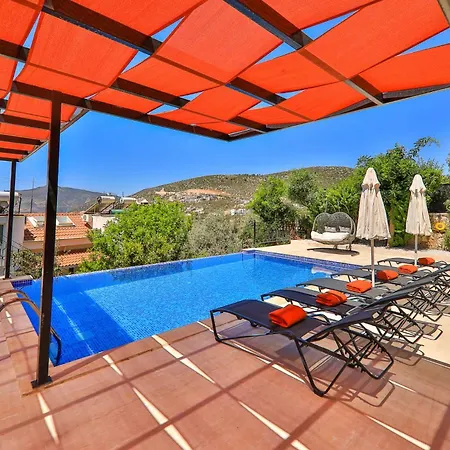 Celik Villa *